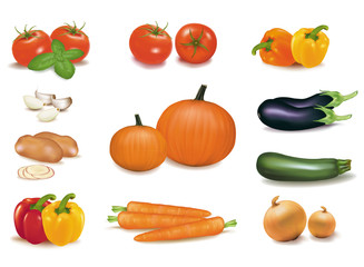 The big colorful group of vegetables. Photo-realistic vector.