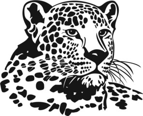 Naklejka premium Leopard Vinyl Ready ilustracji wektorowych