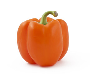 Orange pepper on white background