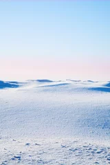 Zelfklevend Fotobehang Tundra © Hunta