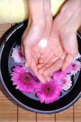 Flower in womans hands