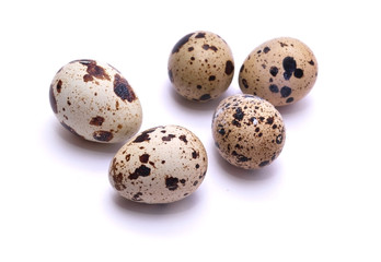 Obraz premium quail egg