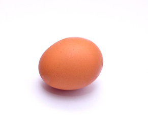 egg isolated on white