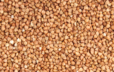 buckwheat;