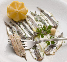 acciughe marinate