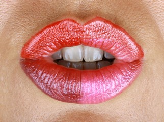 Obraz premium 4 couleurs