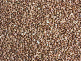 Buckwheat seeds