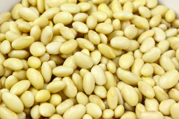 soy beans