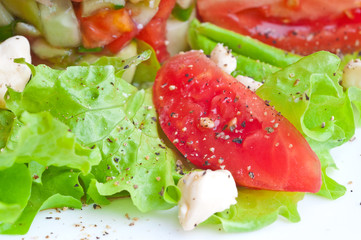 Fresh vegetable salad