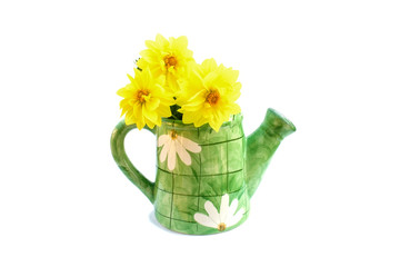 Ceramic green watering can with yellow dahlias isolated on white