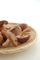 シイタケと竹ざる（縦）