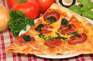 Pizza slice close-up