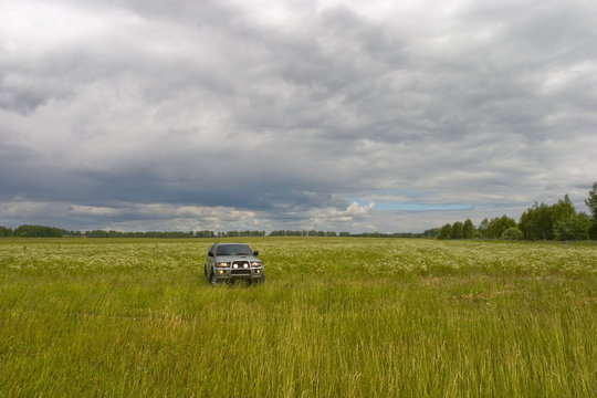 geep at the field