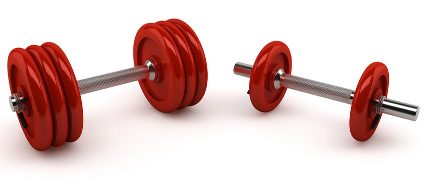 Halt&egrave;res sur fond blanc 2