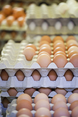 Packs d’œufs frais au marché