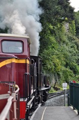 Steam locomotive
