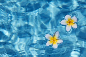 Zelfklevend Fotobehang Flowers in water © swisshippo