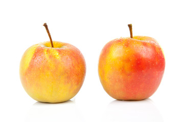 two juicy red with yellow apples over white background