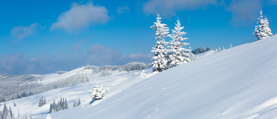 winter mountain panorama landscape