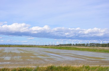 éoliennes de Camargue 9