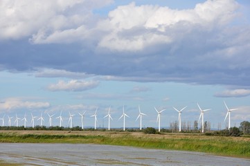 éoliennes de Camargue 12