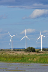 éoliennes de Camargue 8
