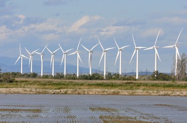 éoliennes de Camargue 5