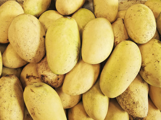 Ripe Mangoes