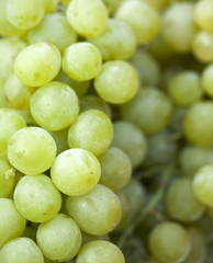 raisins blancs en gros plan