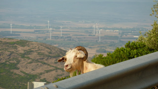 vento