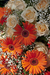 Gerbera und Schleierkraut