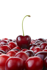 cherry and group