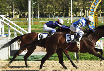 Race for the prize "Winter favourite" for horses of 2-th years