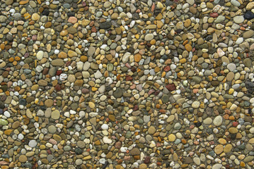 Waschbeton - exposed aggregate concrete 03