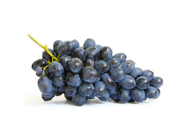 branch of grapes