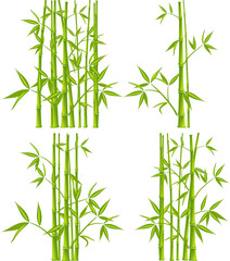 Fototapeta na wymiar Bamboo, vector (mesh)