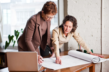 Working businesswomen