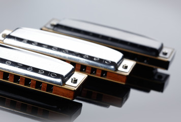 Tree harmonicas on dark background