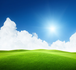 field of grass and perfect sky