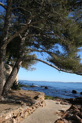 Côte d'azur & Provence