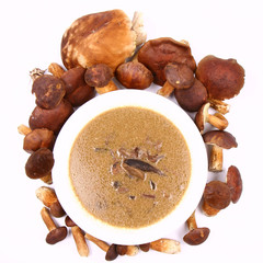 Mushroom soup on a plate surrounded by some mushrooms