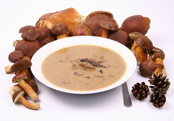 Mushroom soup on a plate, mushrooms and some pinecones