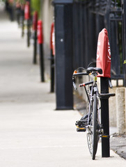 Fototapeta premium Bike