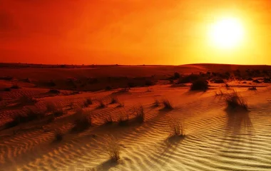 Zelfklevend Fotobehang Extreme woestijn © Anna Om