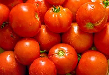 Wet Fresh Tomatoes