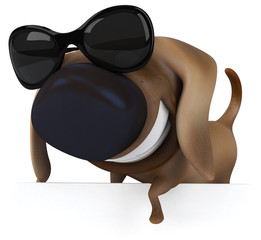 Chien et lunettes de soleil