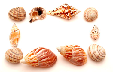 Marine bowl