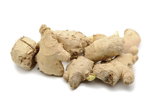 Ginger