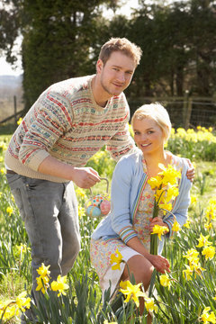 Romantic Couple Picking Spring Daffodils