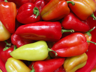 Pepper for a background